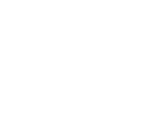 Capable Cleaners